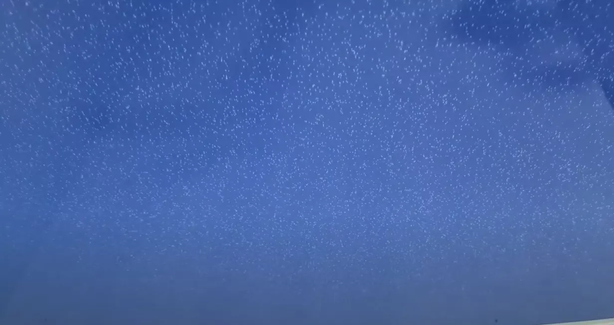 Владивосток, Гоголя, 30, фото 3