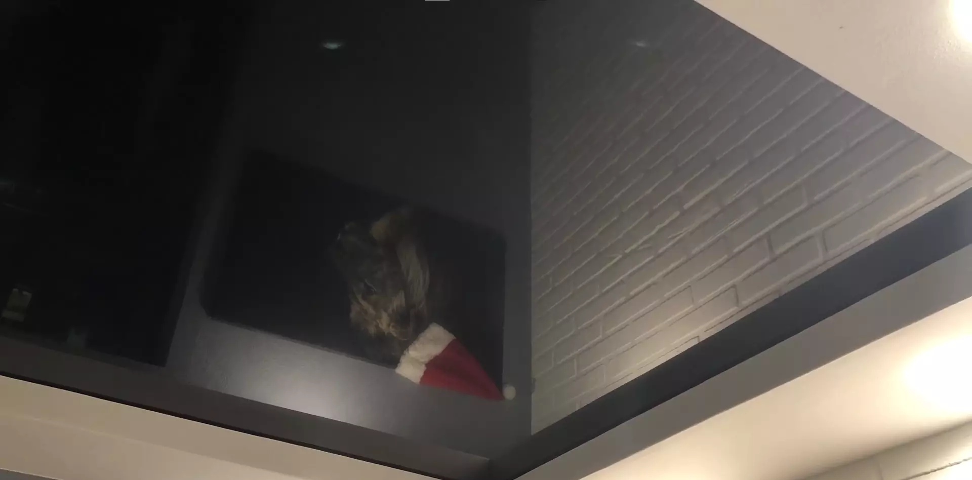 Ханты-Мансийск, , фото 3