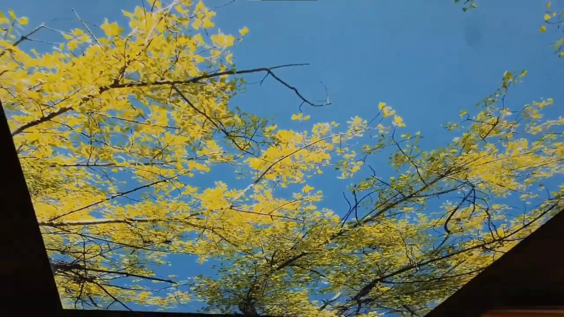 Ижевск, Красноармейская улица, 132, фото 2