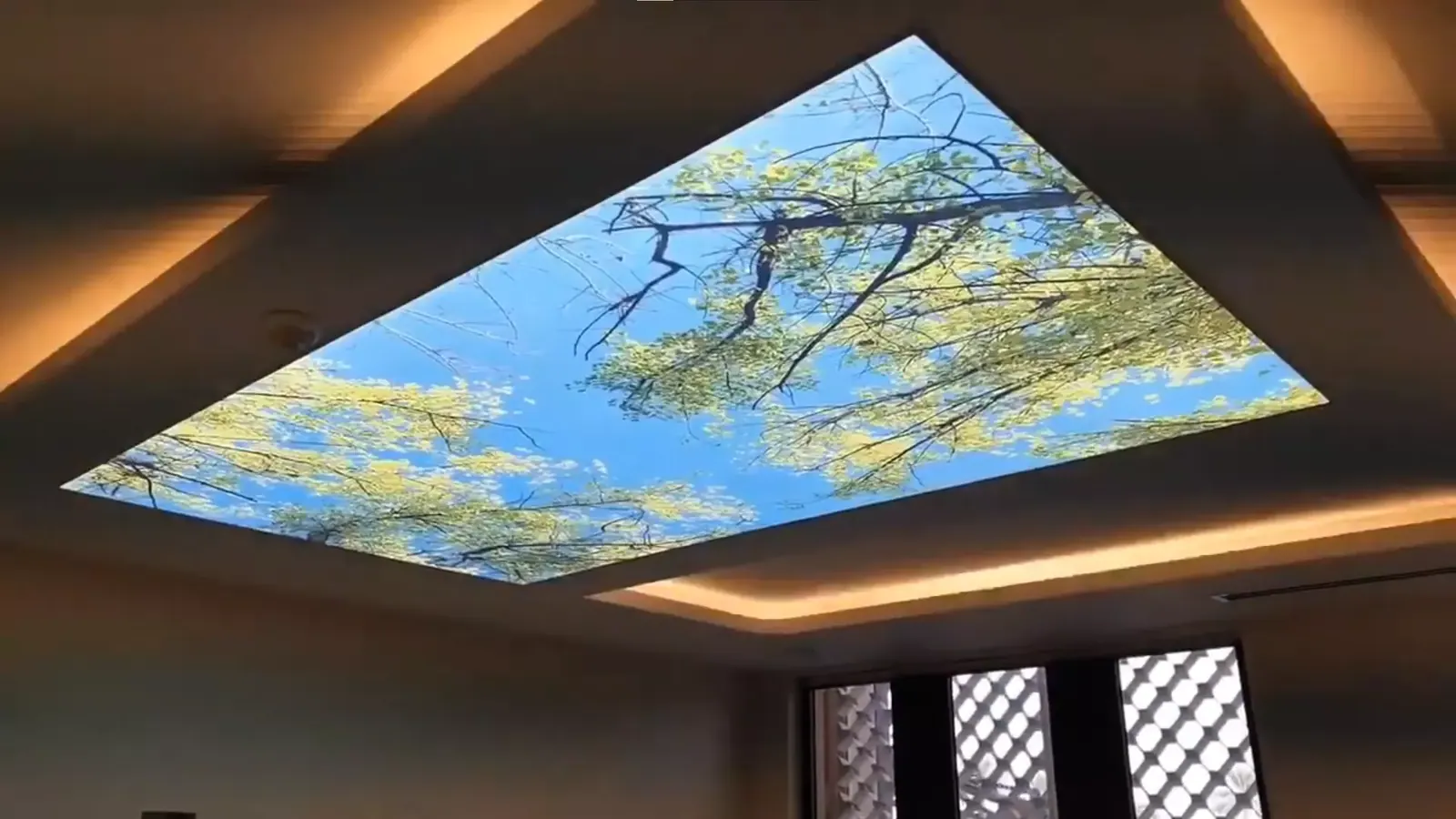 3D натяжной потолок — Ханты-Мансийск, Гагарина, 149, фото 1